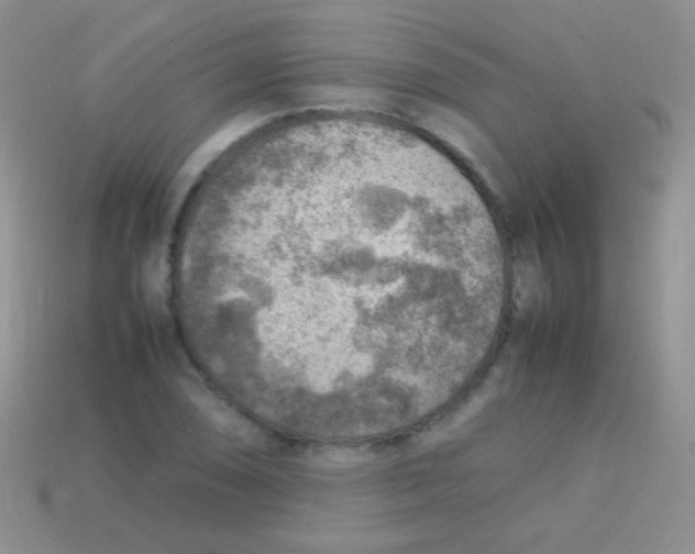 X0000113641074200910162032