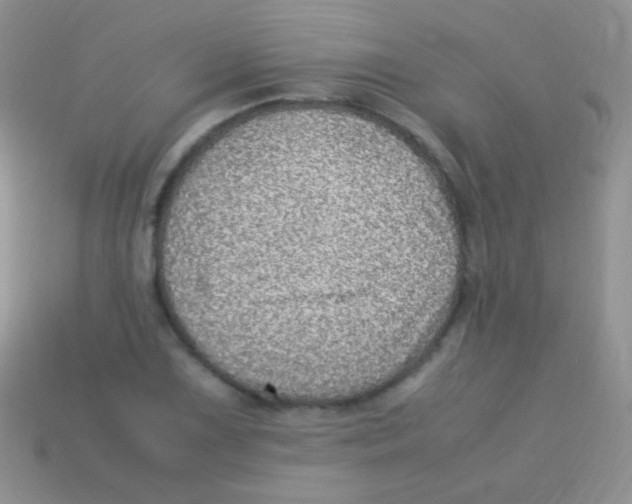 X0000113641075200910162032