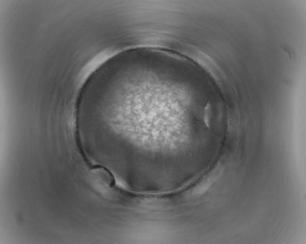 X0000113641077200910162032