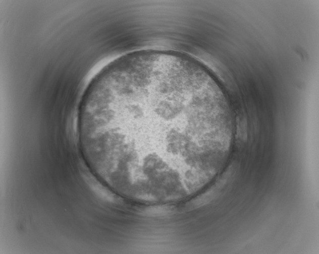 X0000113641078200910162032