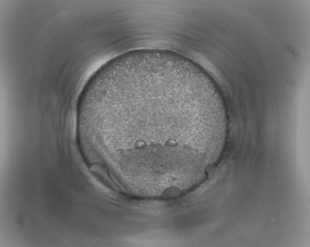 X0000113641079200910162032