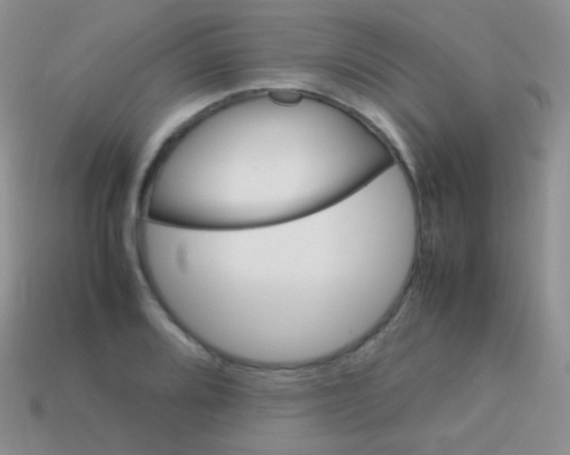 X0000113641080200910162032