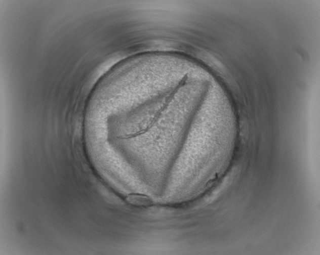 X0000113641081200910162032