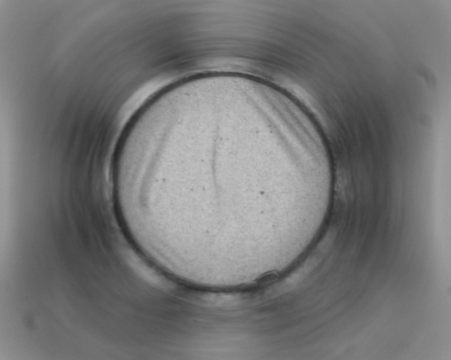 X0000113641082200910162032