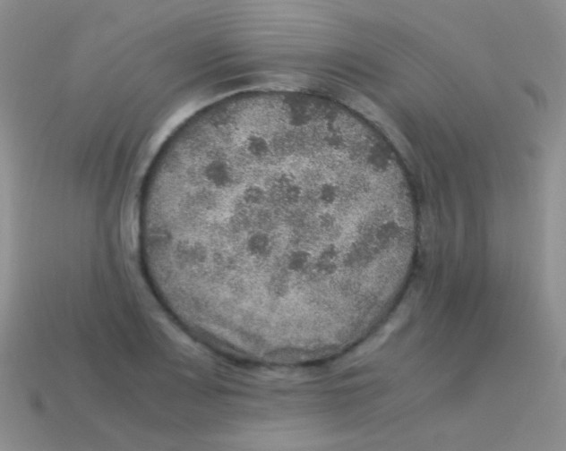 X0000113641083200910162032