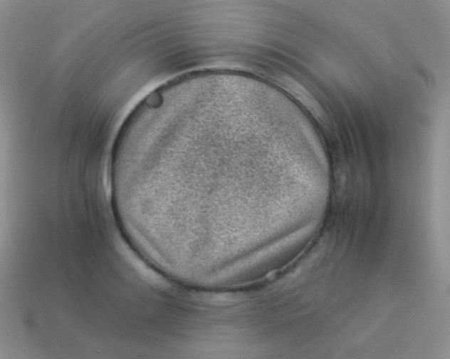 X0000113641084200910162032