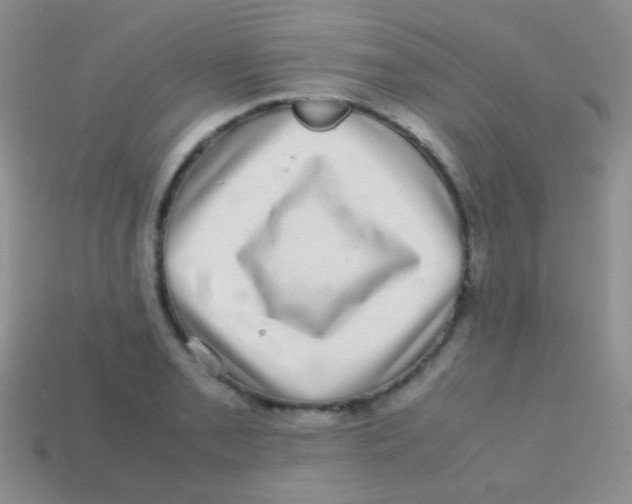 X0000113641085200910162032