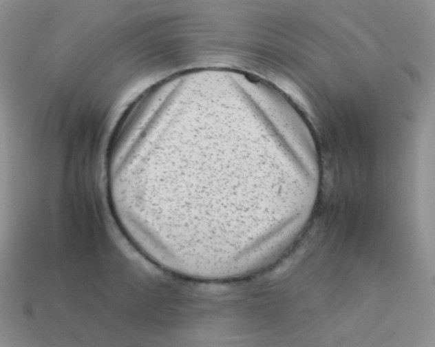 X0000113641088200910162032