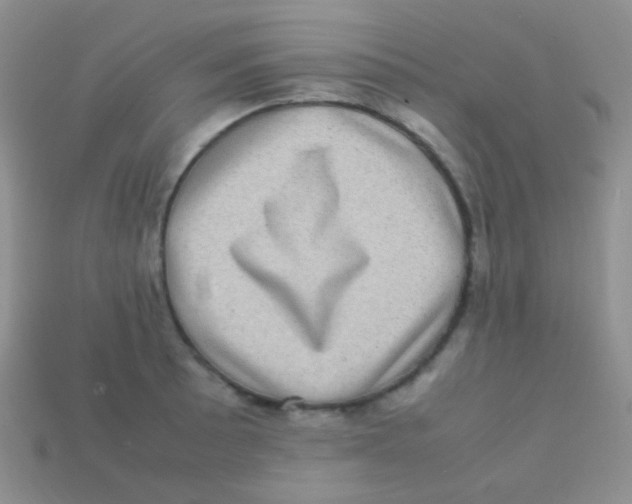 X0000113641089200910162032