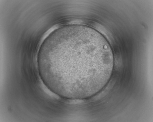 X0000113641090200910162032