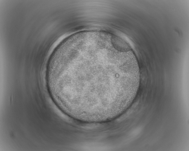 X0000113641091200910162032