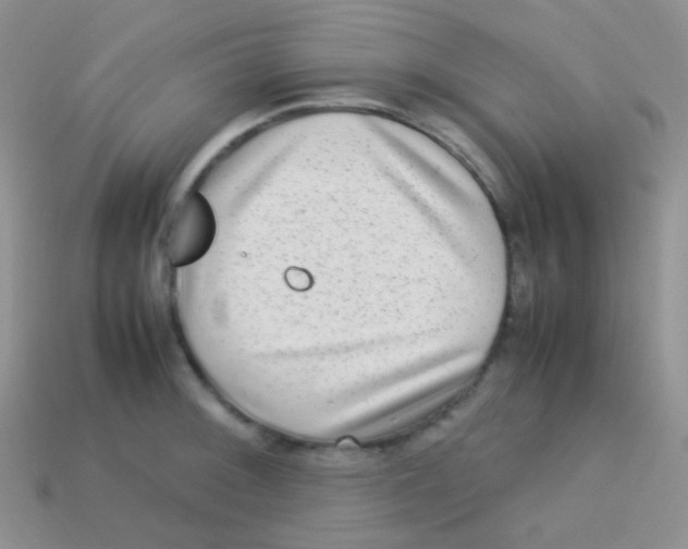 X0000113641092200910162032