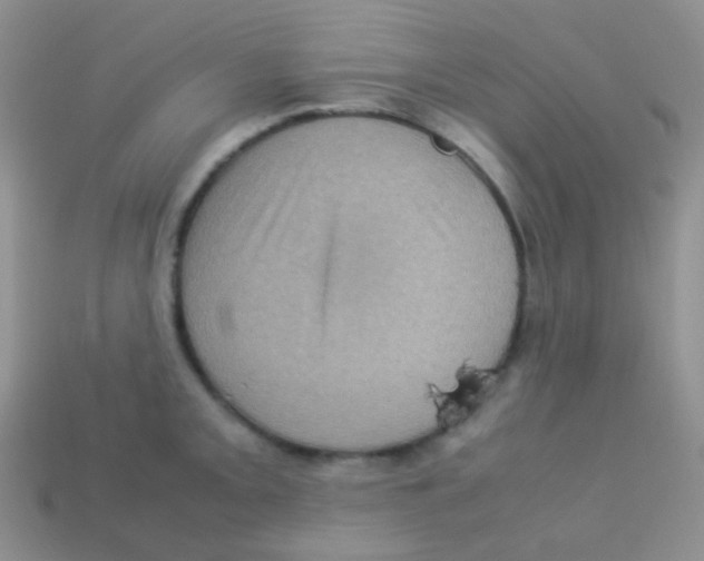 X0000113641093200910162032