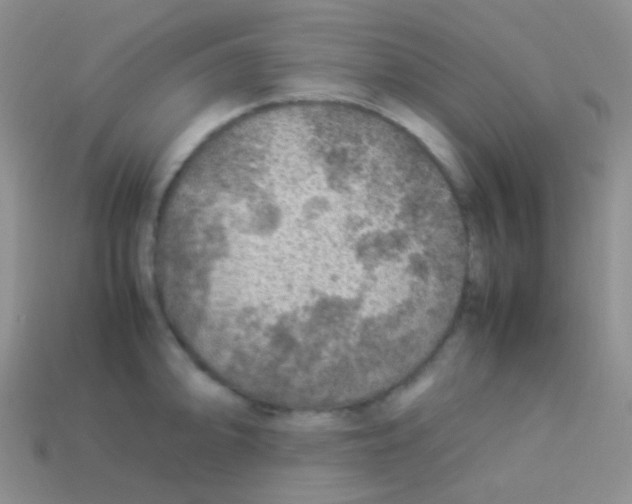 X0000113641094200910162032