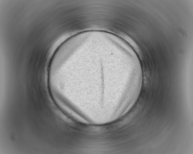 X0000113641096200910162032