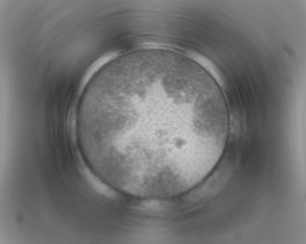 X0000113641098200910162032