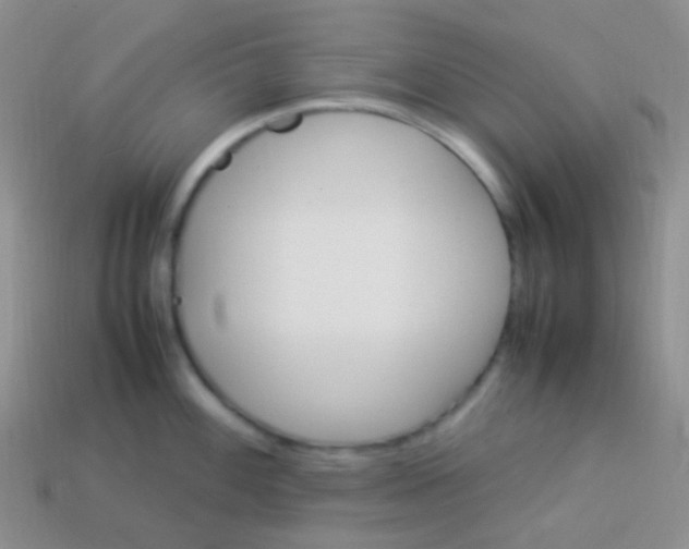 X0000113641100200910162032