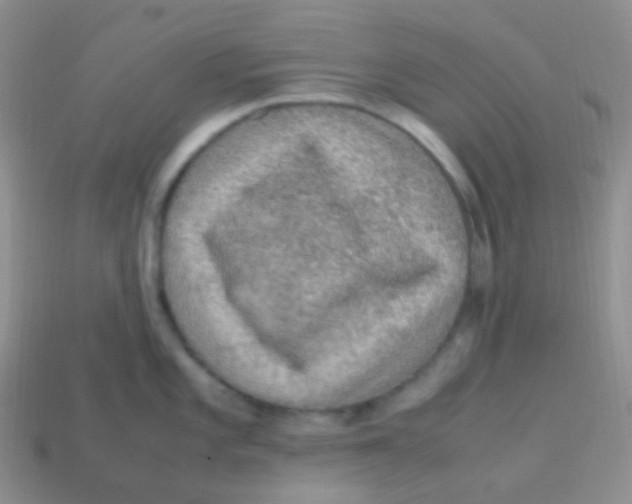 X0000113641101200910162032