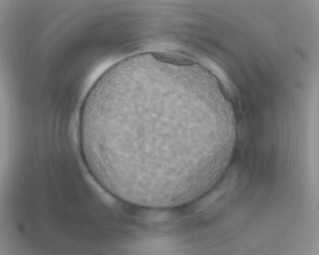 X0000113641103200910162032