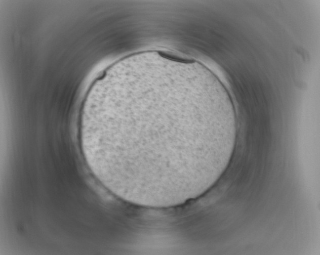 X0000113641104200910162032