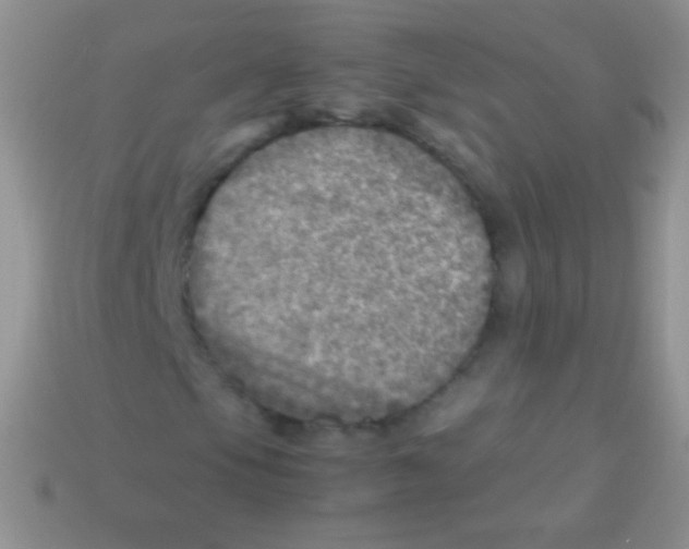 X0000113641105200910162031