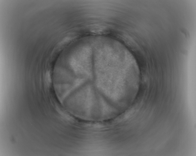 X0000113641106200910162031