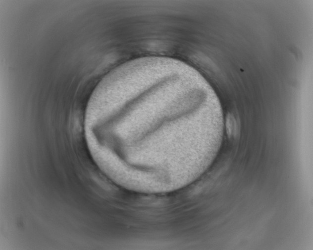 X0000113641107200910162031