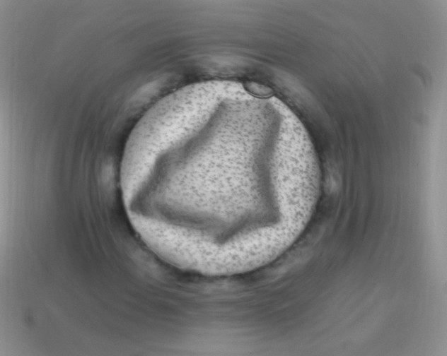 X0000113641108200910162031