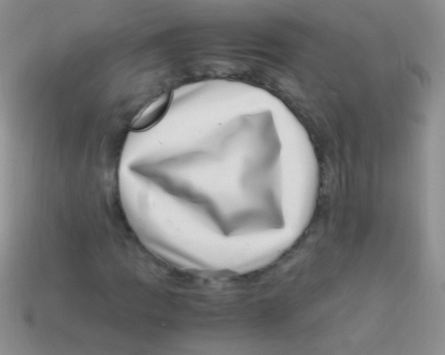 X0000113641109200910162031