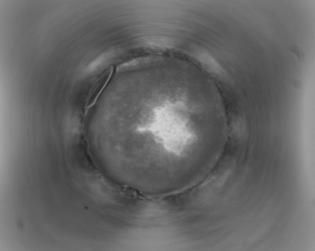 X0000113641110200910162031