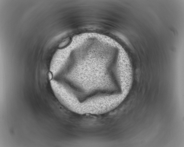 X0000113641111200910162031