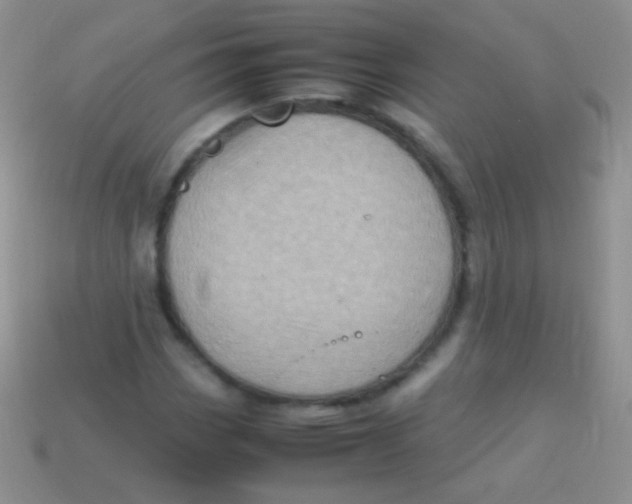 X0000113641113200910162031