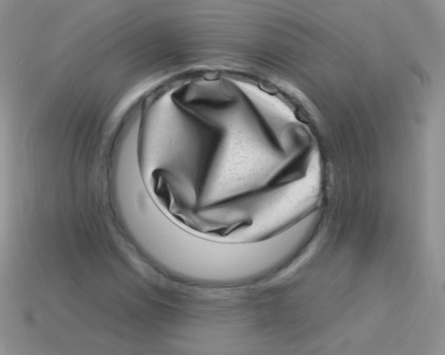 X0000113641114200910162031