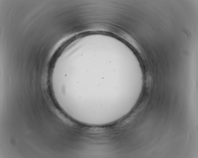 X0000113641116200910162031