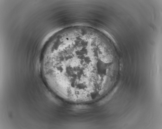 X0000113641117200910162031