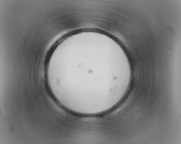 X0000113641118200910162031