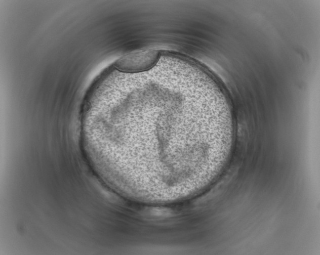 X0000113641119200910162031