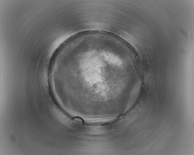 X0000113641120200910162031