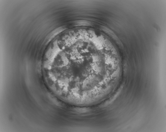 X0000113641121200910162031