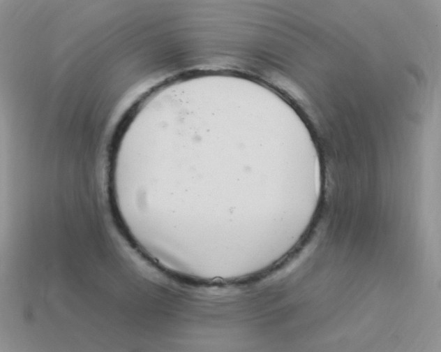 X0000113641122200910162031