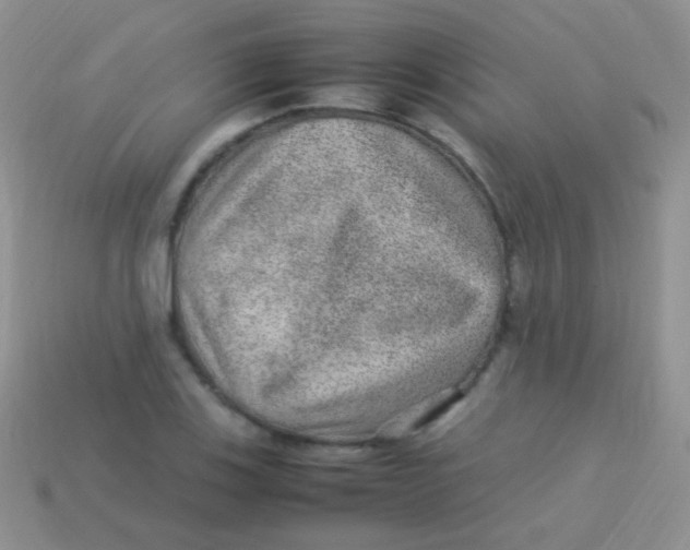 X0000113641123200910162031