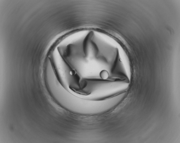 X0000113641124200910162031