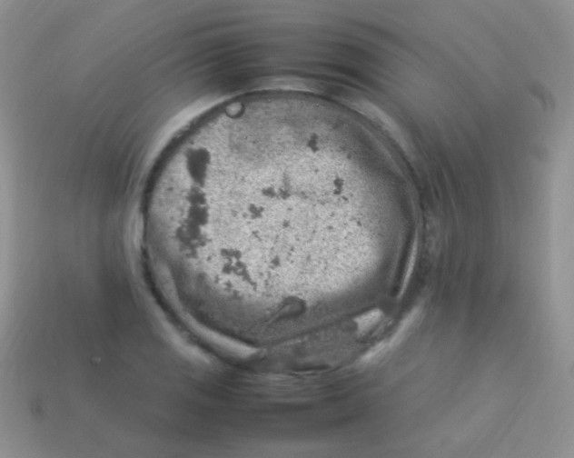 X0000113641125200910162031