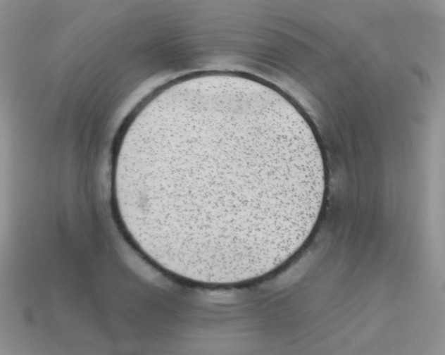 X0000113641126200910162031