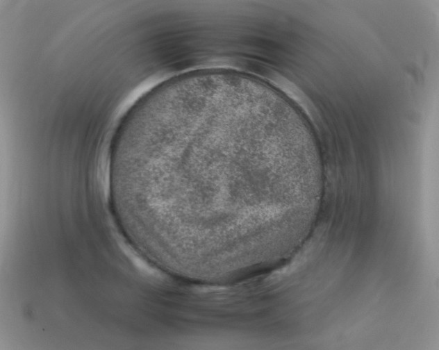 X0000113641127200910162031