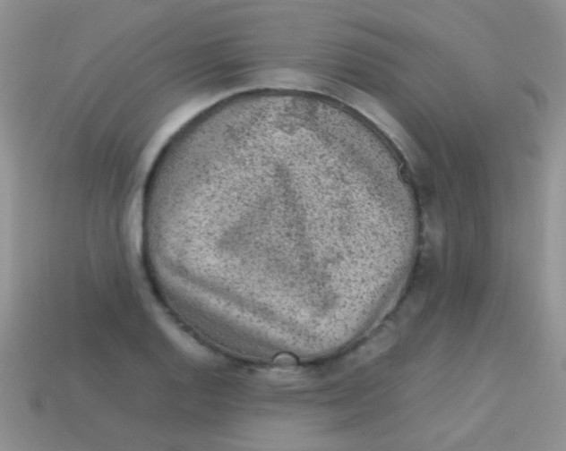 X0000113641128200910162031