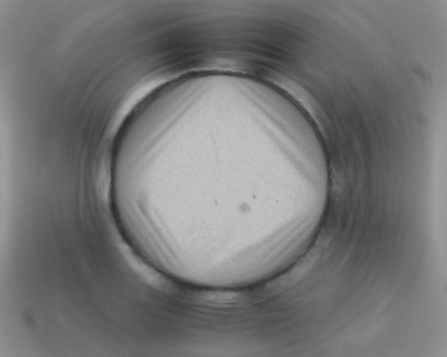 X0000113641131200910162031