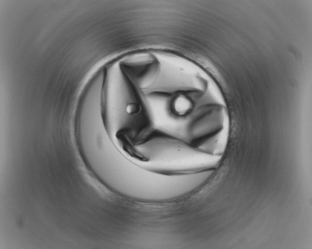 X0000113641132200910162031