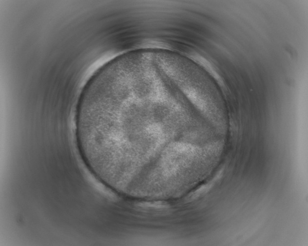 X0000113641133200910162031