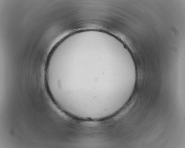 X0000113641134200910162031